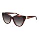 Bulget Sunglasses